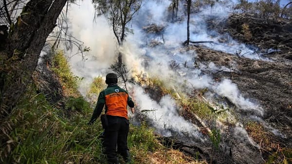 JEREBU RENTAS SEMPADAN: Indonesia hadkan akses pelancong ke Gunung Bromo susuli kebakaran hutan