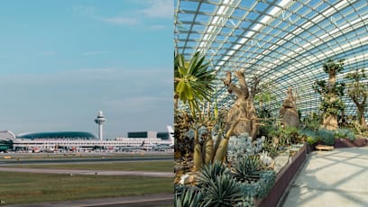 Tourist Ranks Singapore Attractions According To 6 Tiers, And Only One Local Attraction Made It To The Top "King" Tier