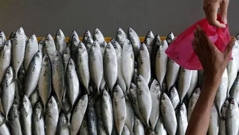 Harga ikan naik, pihak berkuasa M'sia tunggu laporan sebelum bertindak