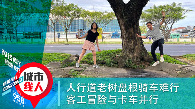 人行道老树盘根骑车难行 客工冒险与卡车并行