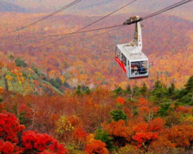 Autumn Foliage Journey in Tohoku, Japan: Must-See Scenic Spots to Visit in October