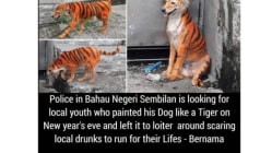 Related article image