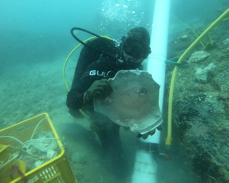 2 shipwrecks — dating as far back as 600 years — found in Singapore waters, yielding trove of artefacts