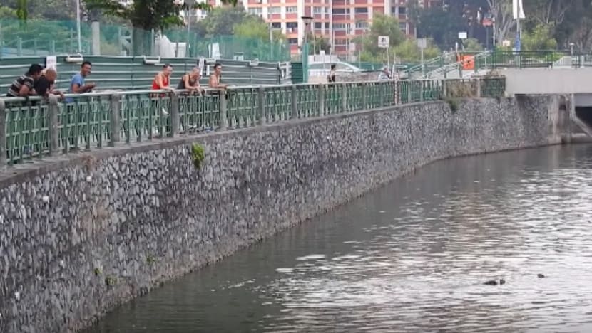 Angler who was allegedly baiting otters identified: ACRES