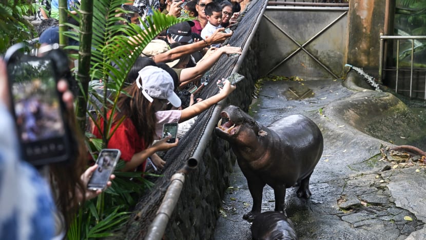 Gambar Pilihan Hari Ini