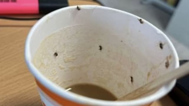喝下藏有昆虫咖啡 西班牙女子加护病房待36小时 