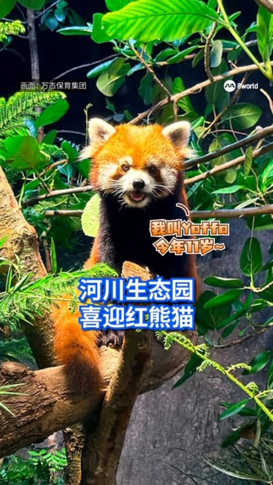 20260807_redpanda