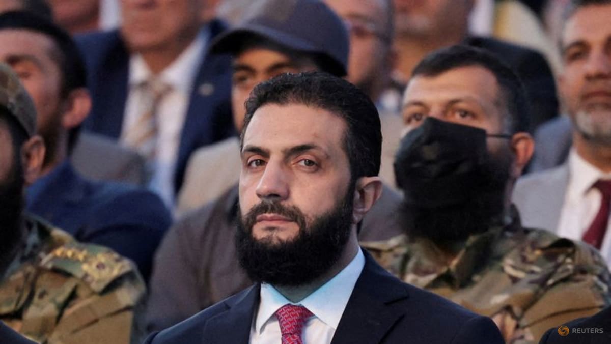 Syria carries out pre-emptive operations against Islamic State cells