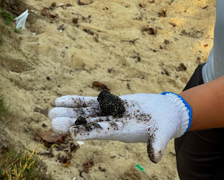Singapore oil spill beach clean-up progressing 'faster than expected': Grace Fu