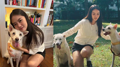 Chantalle Ng's Foster Dog Was Rescued From South Korean Dog Meat Farm; Now He's Looking For His Forever Home In S'pore