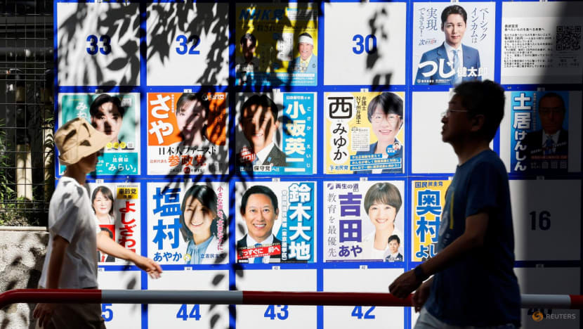 Japan's shaky government loses Upper House control