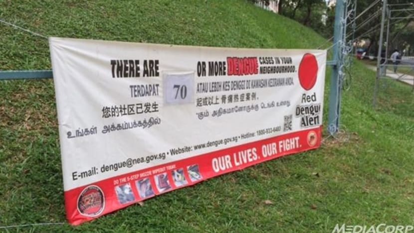 More dengue cases reported in Bishan North