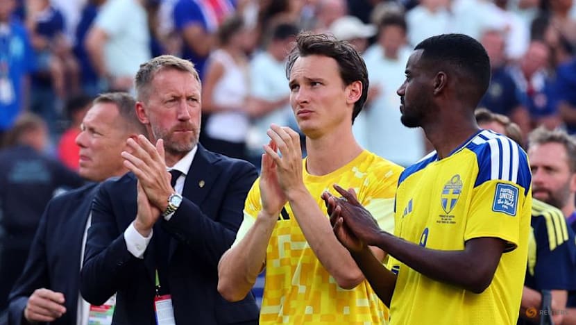 Even 'perfect' may not have toppled France, says Sweden coach Potter