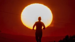 Related article image