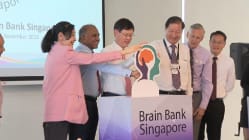 Related article image