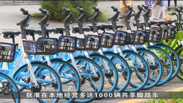 脚踏车业者进军本地 学者：可持续关键在于提供区域服务
