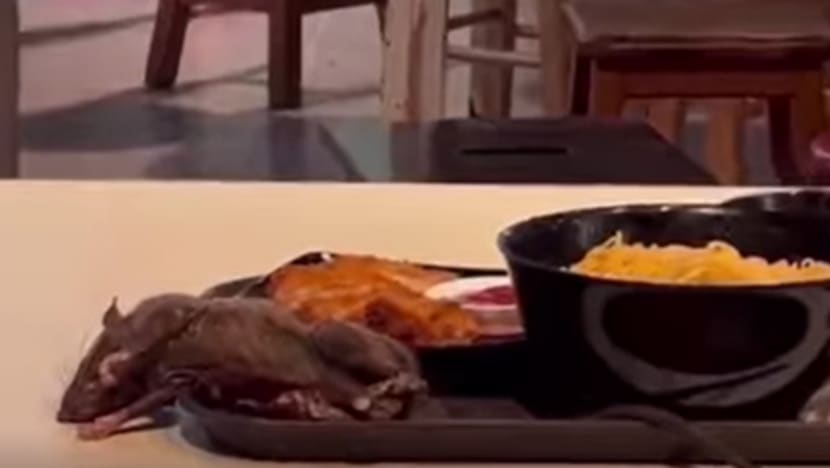 Tikus ditemui terbaring mereng atas dulang makanan di pusat makanan Tangs Tikus ditemui terbaring mereng atas dulang makanan di pusat makanan Tangs