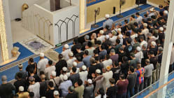 Related article image