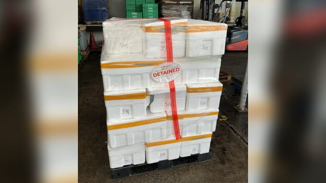 本地批发商非法进口肉类 被罚逾5万元