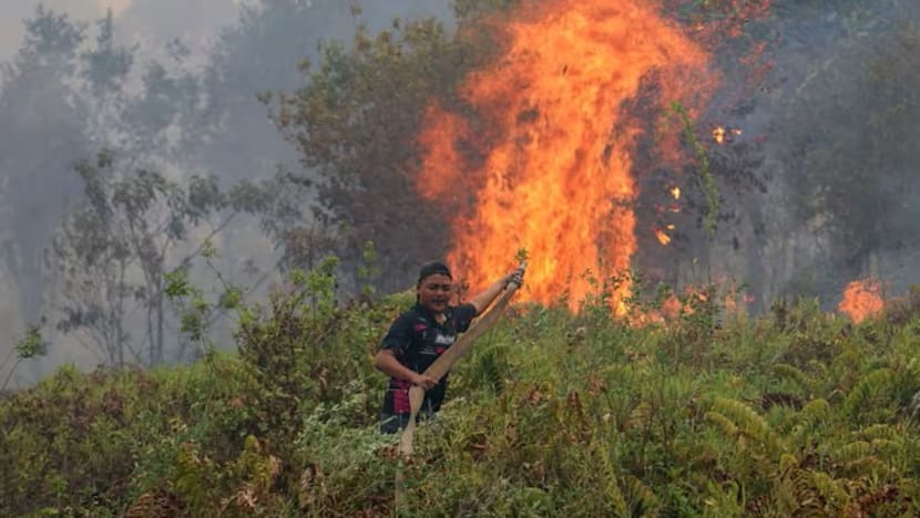JEREBU RENTAS SEMPADAN: SG akan keluarkan notis kepada 3 lagi syarikat Indonesia berhubung kebakaran di Kalimantan