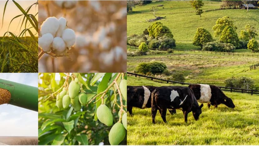 BERITA+: Program baru Australia intai peluang pikat lebih ramai pelancong