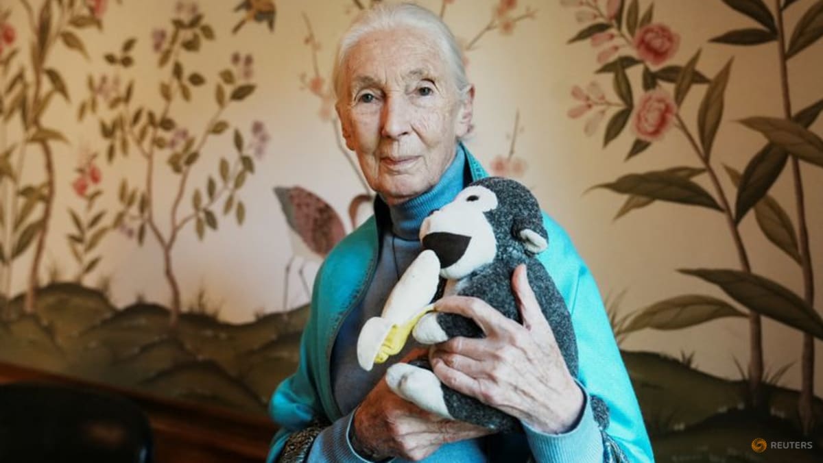 What Jane Goodall taught us about living a long life