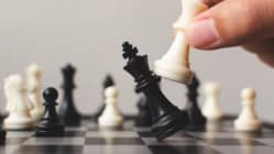 Related article image