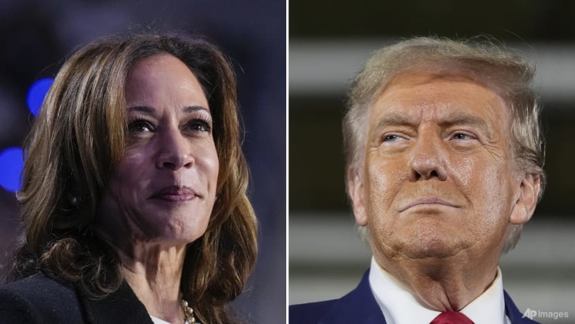 Harris vows Gaza peace, Trump tone darkens in final hours