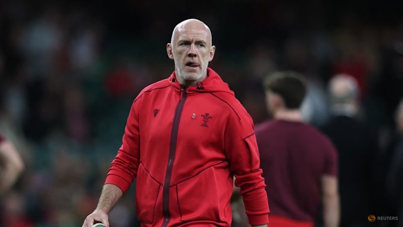 Argentina snuff out Welsh hopes of debut win for new coach