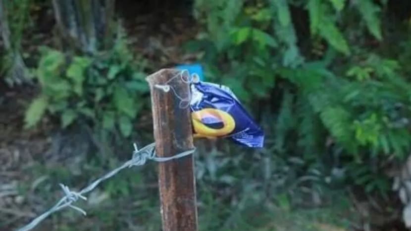 Suspek kes keropok beracun dibebaskan dengan jaminan polis