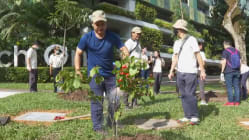 Related article image