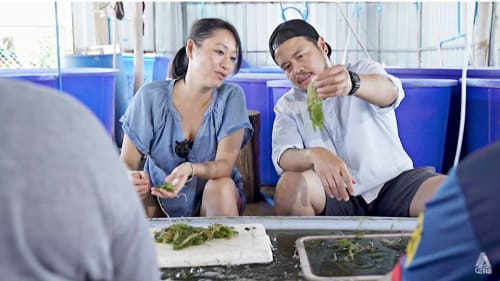 In Bangkok, a chef couple who only use Thai ingredients in their restaurant