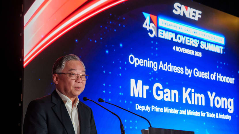 DPM Gan gesa SNEF bantu syarikat SG harungi 'era baharu'