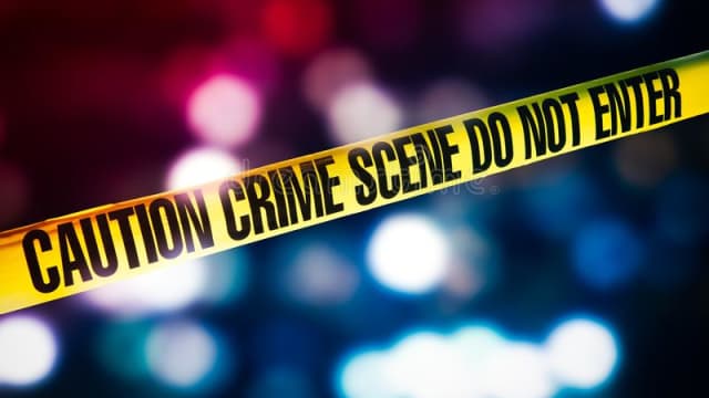 巴黎发生枪击案 男子夺武器后射伤两警员