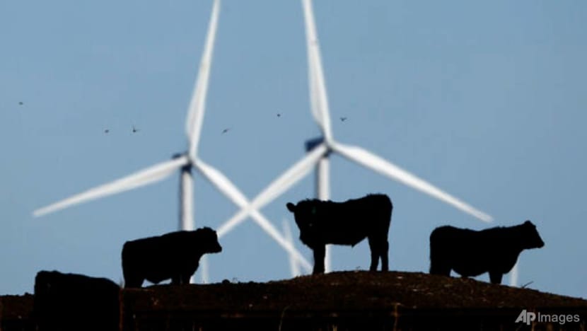 Fix to food climate problem doesn't require veganism: Study