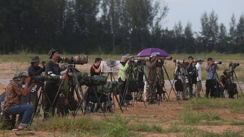 Nature under stress from photography boom