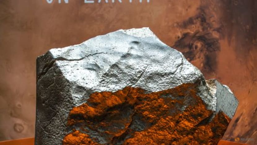 Martian meteorite sells for record $5.3 million at Sotheby's