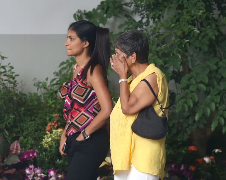 Death of woman killed by tree at Botanic Gardens a tragic misadventure, coroner rules