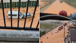 Hujan lebat cetus banjir kilat di Cameron Highlands