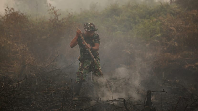 ‘Brutally-frank’ Vivian says haze a deliberate, man-made tragedy, crime