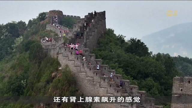 中国天津黄崖关长城国际马拉松开跑 近1500名世界各地选手参赛