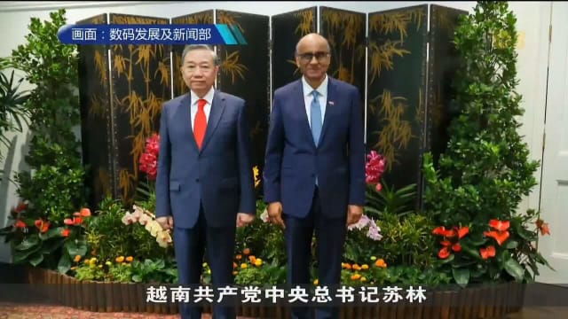 越共总书记苏林会晤尚达曼总统和李资政