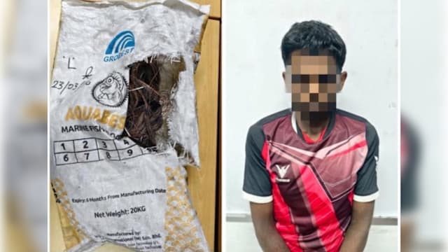 偷电缆后现场焚烧取铜线 马国男子油棕园内被捕