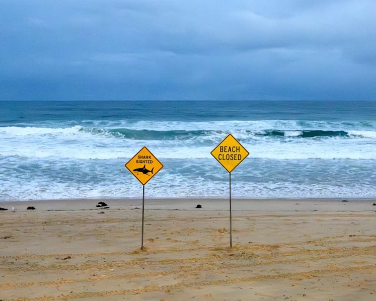 Shark kills diver off Western Australia