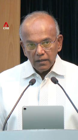 Singapore will take action against Singaporeans who fight for foreign causes: Shanmugam