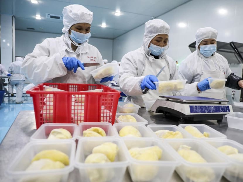 Workers package frozen durian at a food factory in China's eastern Zhejiang province on Feb 3, 2023.
