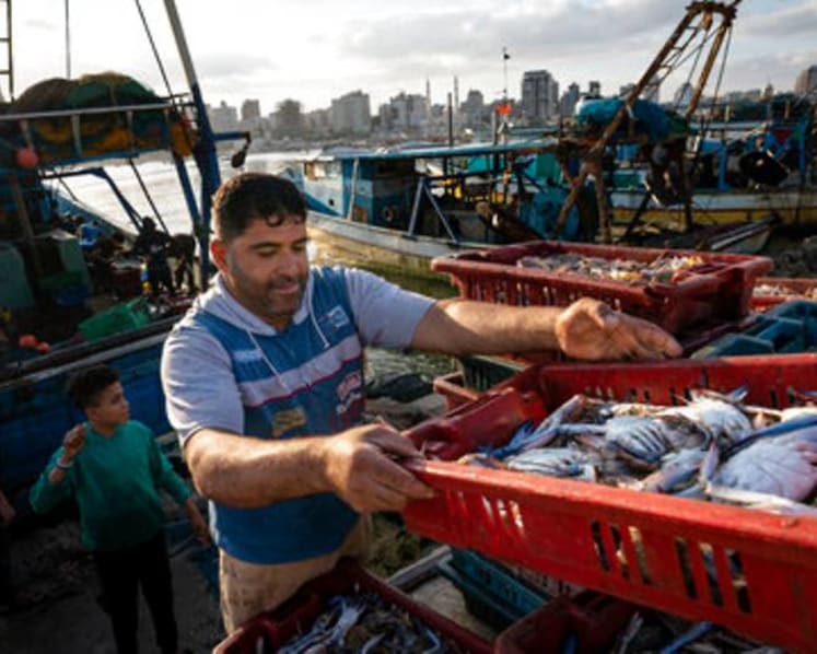 Gaza fishermen take to water again after ceasefire 
