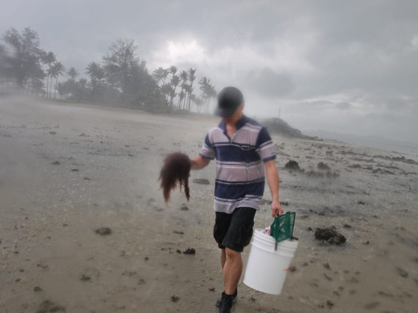 Searching the coast for marine life