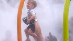 Related article image