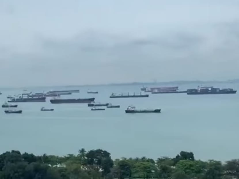 Video footage of the ships' calls was shared by Senior Minister of State for Transport Lam Pin Min on Facebook.